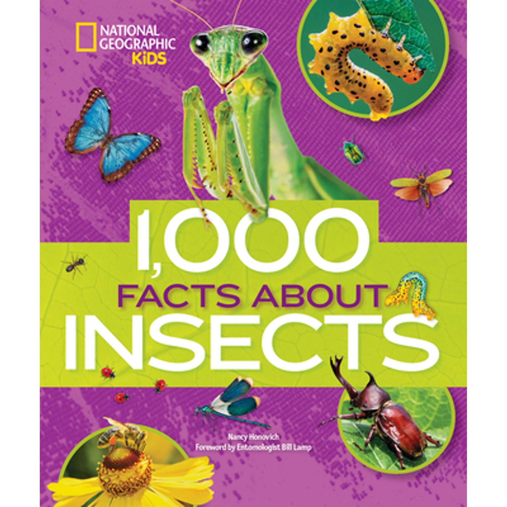 1,000 Facts About Insects Hardcover Kids' Book