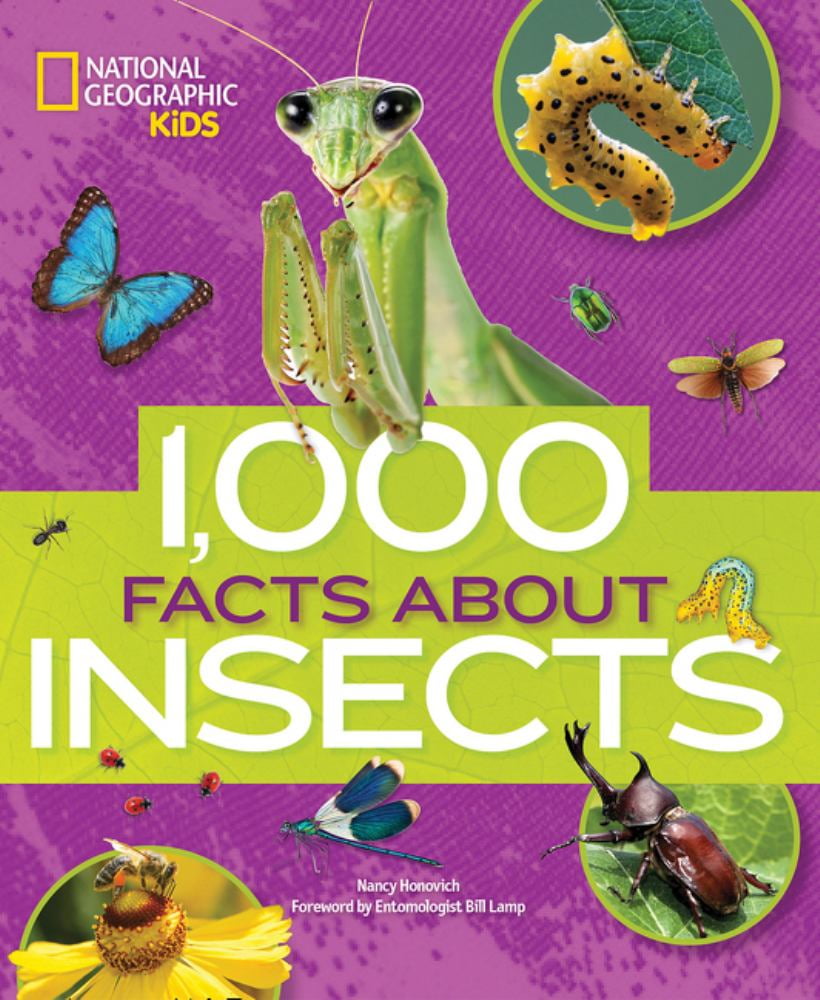1,000 Facts About Insects Hardcover Kids' Book