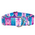 thumbnail image 1 of Country Brook Petz® HossFit Jr Wide Martingale Dog Collar (Albuquerque, Medium), 1 of 6