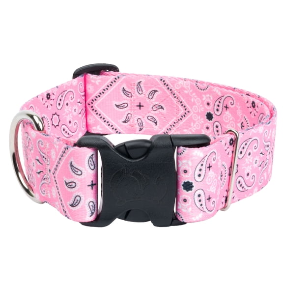 Country Brook Petz® HossFit Jr Wide Everyday Dog Collar, Pink Bandana, Medium