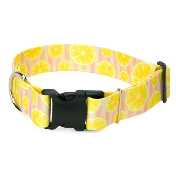 Country Brook Petz® HossFit Jr Wide Deluxe Dog Collar (Pink Lemonade, Medium)