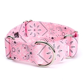 Country Brook Petz® HossFit Jr Wide Martingale Dog Collar (Pink Bandana, Large)