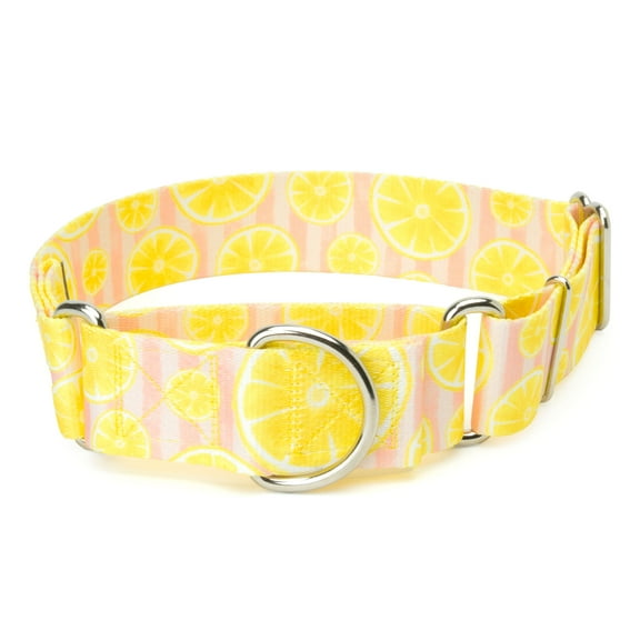 Country Brook Petz® HossFit Jr Wide Martingale Dog Collar (Pink Lemonade, Medium)