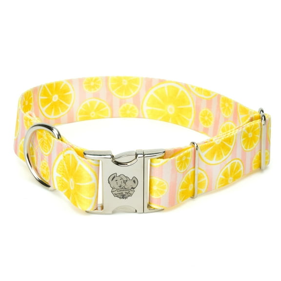 Country Brook Petz® HossFit Jr Wide Premium Dog Collar (Pink Lemonade, Extra Large)