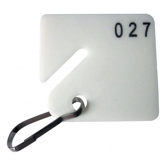 1-1/2" x 1-5/8" Square-Slotted Key Numbered 1 to 100, White PK100