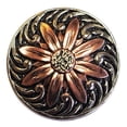 thumbnail image 1 of 1 1/4 In Hilason Western Horse Floral Screw Back 2 Tone Finishing Tack Headstall Saddle Concho, 1 of 1