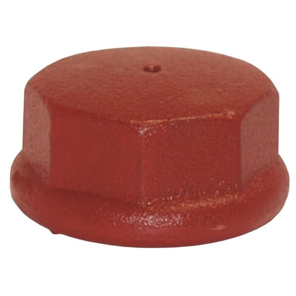 1-1/4 In. Well Point Drive Cap