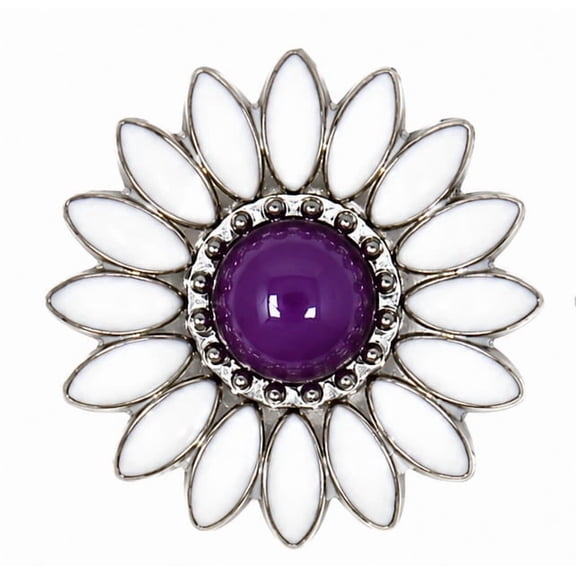 1-1/4" Set of 4 Purple Western Tack Belt Bag Jewelry Conchos Screw BackCO08