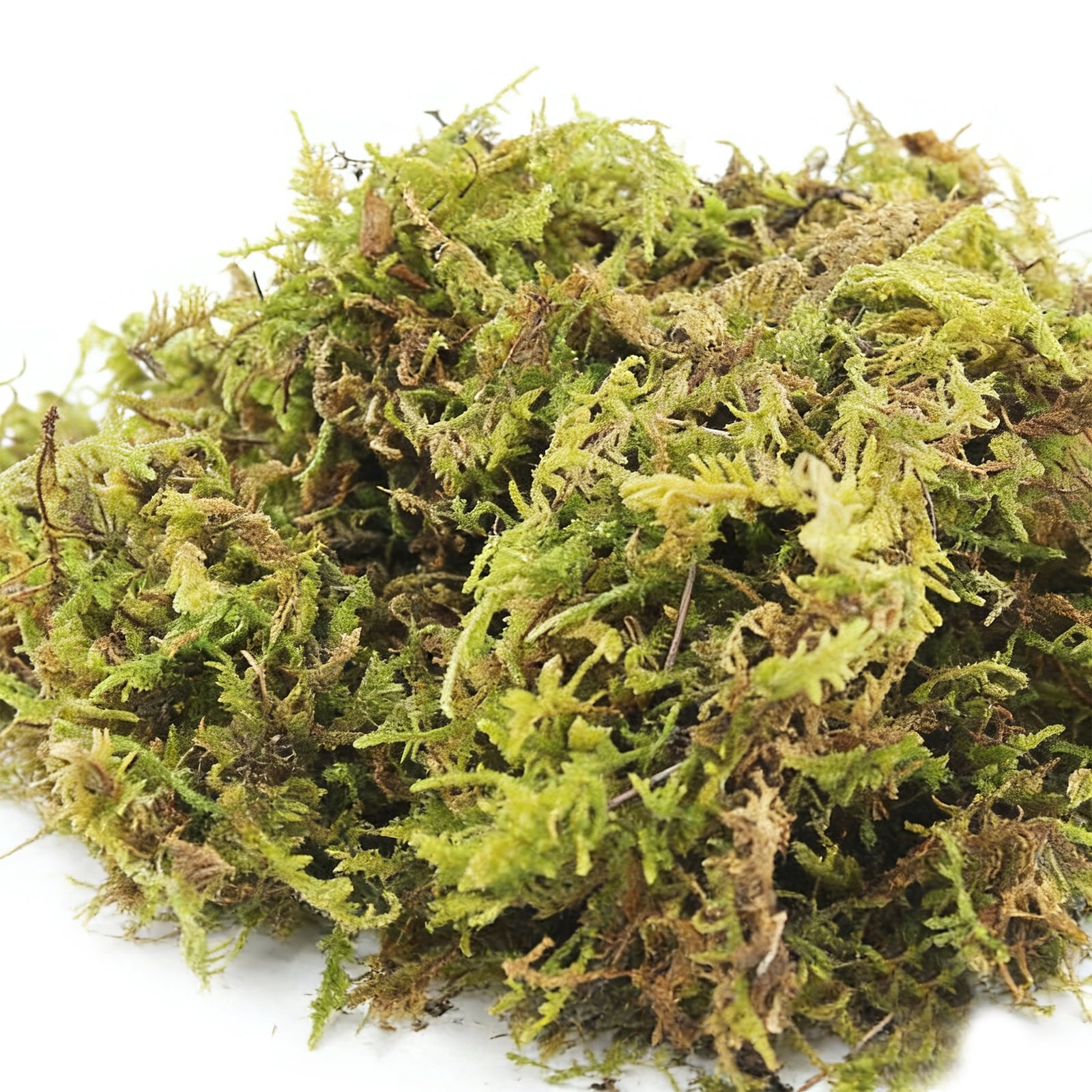 1.1 LBS Decorative Preserved Moss, Natural Green Faux Moss for Crafts, Potted Plants, Terrariums, Centerpieces and Home Decor FM-01