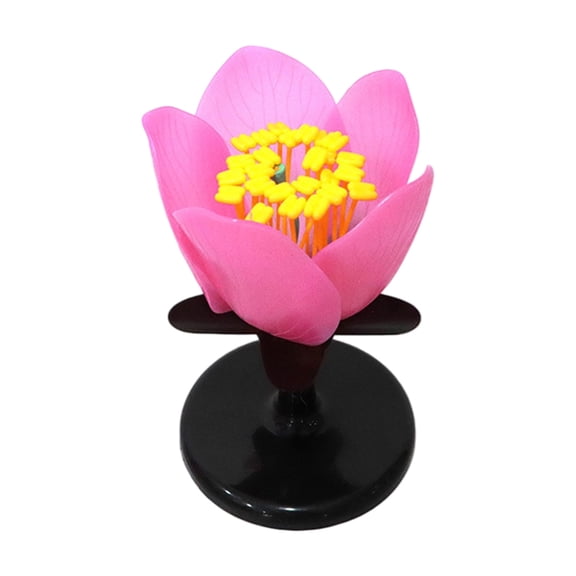 1:1 Scale ABS Plastic Peach Blossom Model Flower Plant Structure Demonstration Model For Biology Teaching School Lab