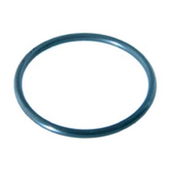 1.15 in. O-Ring for Pump Union