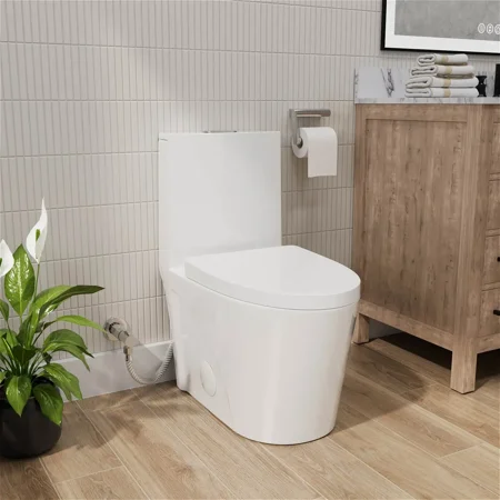 1.1GPF/1.6GPF Dual-Flush Elongated One Piece Toilet, Modern Toilet for Bathrooms with Soft Close Seat, 12" Rough-in