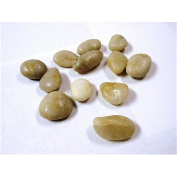 1.2-2 in. Extra Large Polished Stone Bag, 45 lbs - Natural Mixed Colors