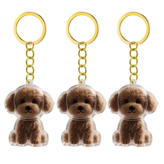 1. 2/3/4/5/10Pcs Clear Pet Memorial Keychain With Storage Compartment For Cats Dogs Lovers Sympathy Pendants