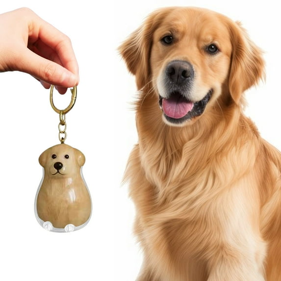 1/2/3/4/6/10PCS Fun Dog Hair Collector Keychain Charm Memorial Storage Box,Cute Pet Hair Memorial Keepsake,Transparent Pets Hair Collector Keychain for Pet Lovers