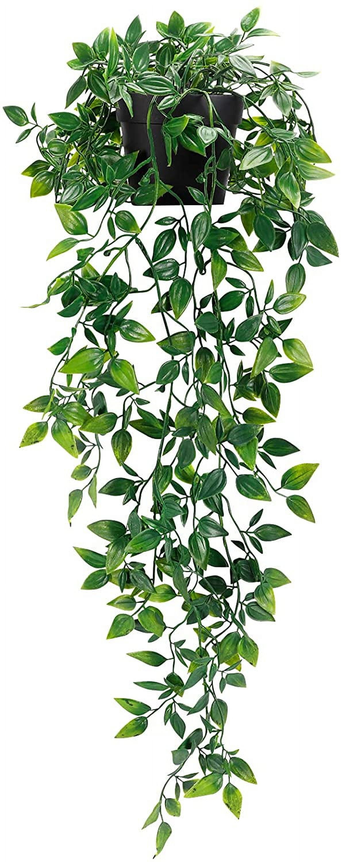 1/2/3 Pack Artificial Hanging Plants with Pot Small Honduras | Ubuy