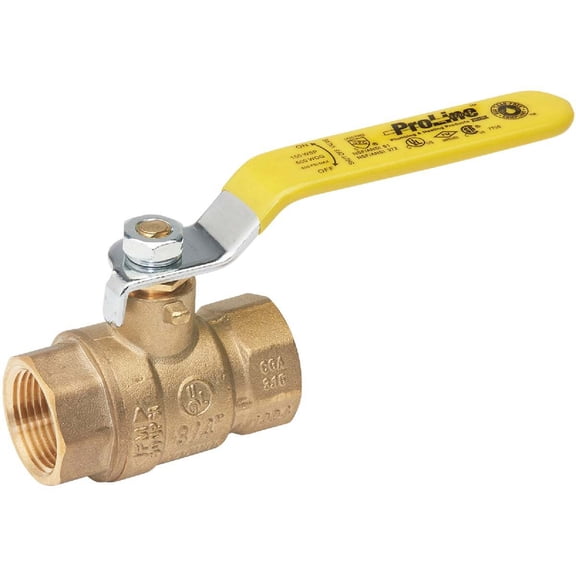 1/2" Fip Ball Valve 107-823NL