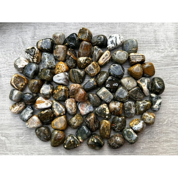 1/2 LB Ocean Jasper Tumbled Stones, Polished Natural Sea Jasper Gemstone, Ocean Jasper Healing Crystals (Ocean Jasper)