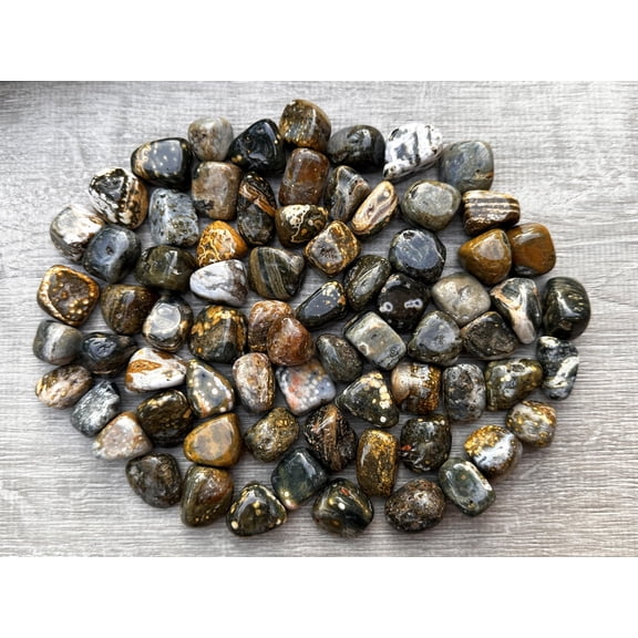 1/2 LB Ocean Jasper Tumbled Stones, Polished Natural Sea Jasper Gemstone, Ocean Jasper Healing Crystals (Ocean Jasper)