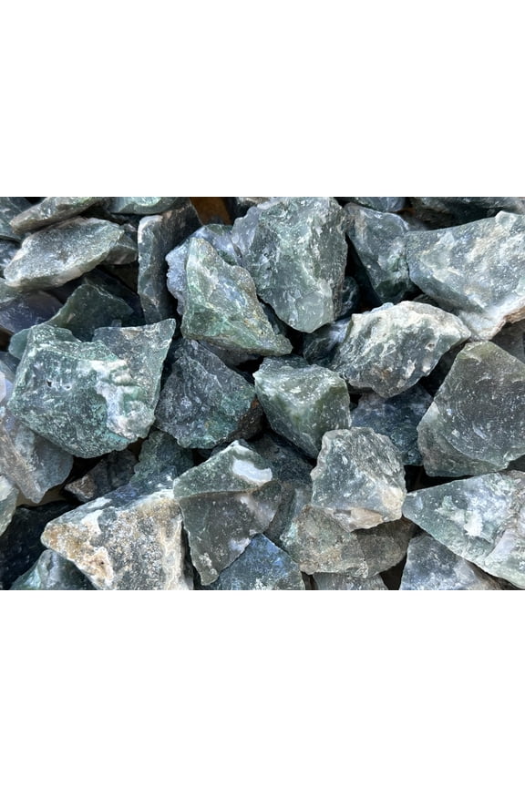 1/2 LB Raw Tree Agate Crystals, Natural Tree Agate, Natural Rough Tree Agate crystals, Tree Agate Healing Crystals (Tree Agate)