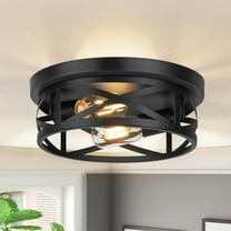 1/2 Pack Black Flush Mount Ceiling Light, 2-Light Hallway Light Fixtures Ceiling, Industrial Farmhouse Metal Cage Ceiling Lights for Kitchen Entryway Hallway, UL, E26 Base