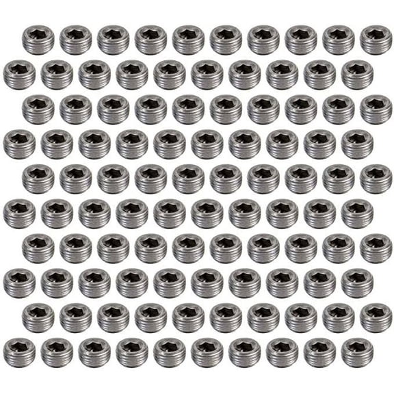 Pioneer 1/2 Pipe Plugs 100pk Hex Socket