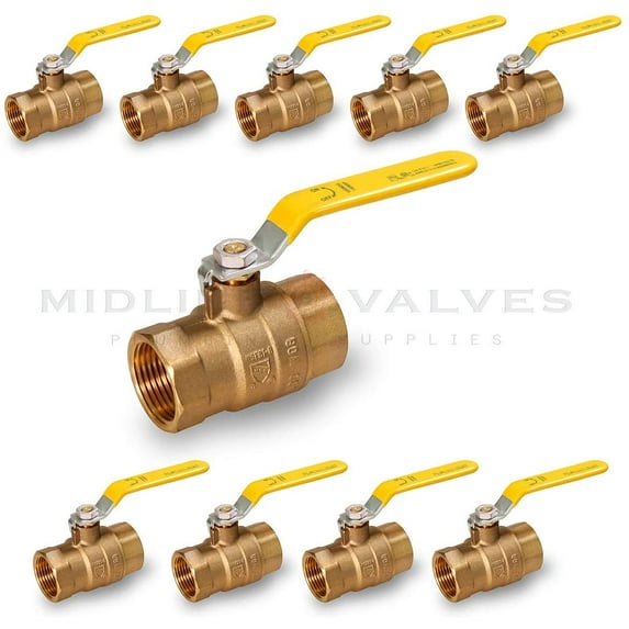 1/2 in. FIP x 1/2 in. FIP Premium Brass Full Port Ball Valve (10 Pack)