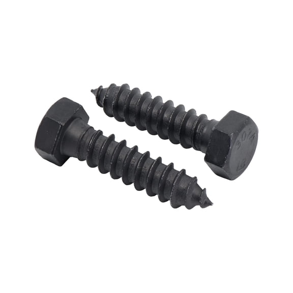 1/2 x 2 25-piece Black Lag Bolts Exterior Structural Fasteners
