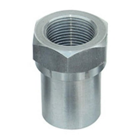 1.25-12 in. Threaded Bung
