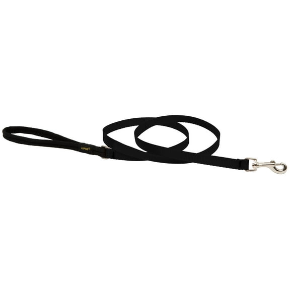 1/2in Black 6ft Dog Leash