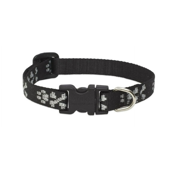 1/2in Bling Bonz 6-9 Adj Dog Collar