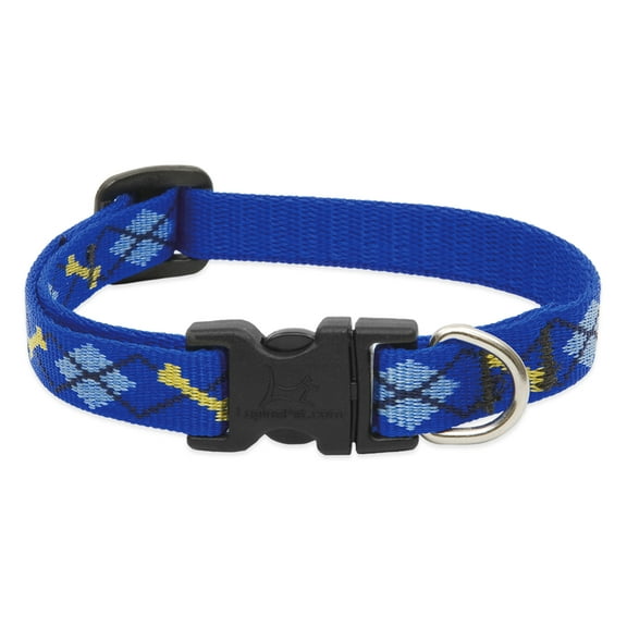 1/2in Dapper Dog 10-16 Adj Dog Collar