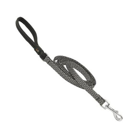 1/2in Granite 6ft Dog Leash