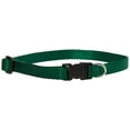 thumbnail image 1 of LupinePet Basics 1/2" Green 10-16" Adjustable Collar for Small Dogs, 1 of 1