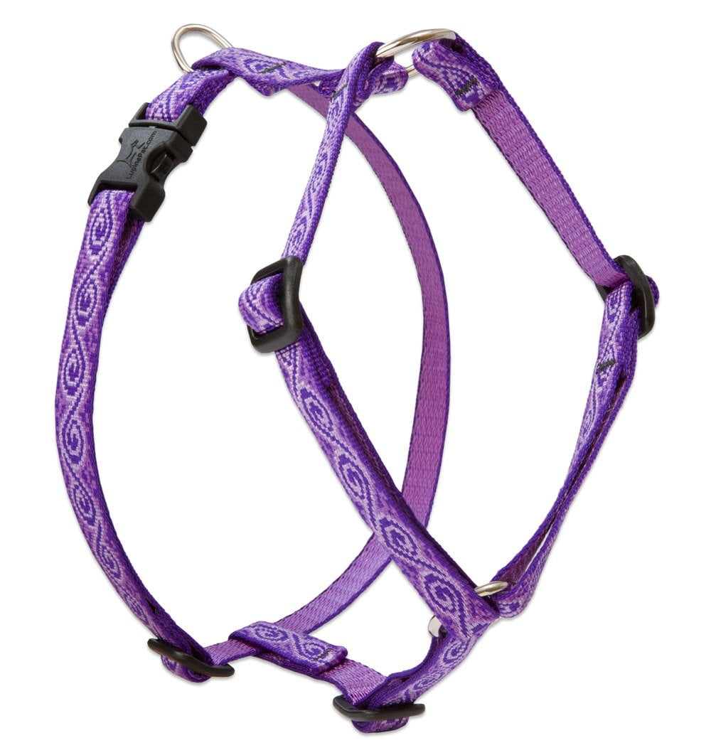 1/2in Jelly Roll 12-20 Roman Dog Harness
