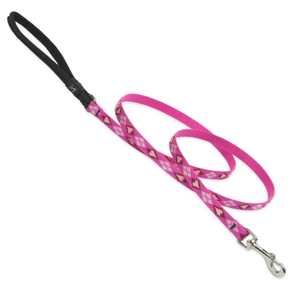 1/2in Puppy Love 6ft Dog Leash