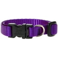 thumbnail image 1 of LupinePet Basics 1/2" Purple 8-12" Adjustable Collar for Small Dogs, 1 of 1