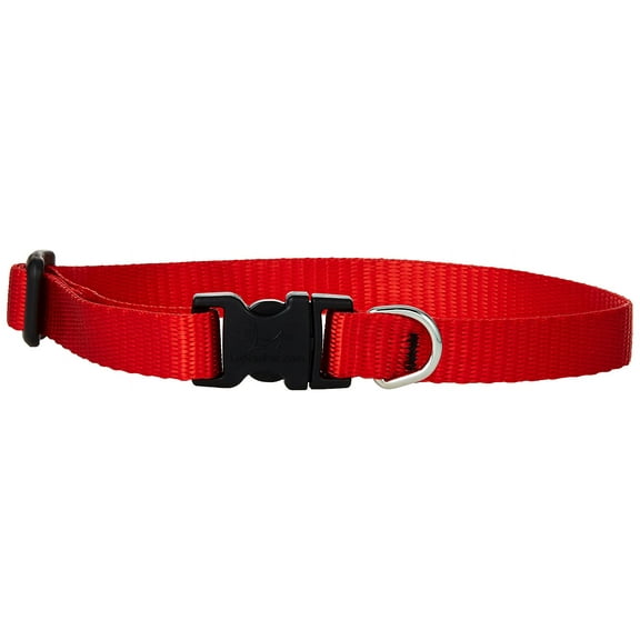 LupinePet Basics 1/2" Red 10-16" Adjustable Collar for Small Dogs