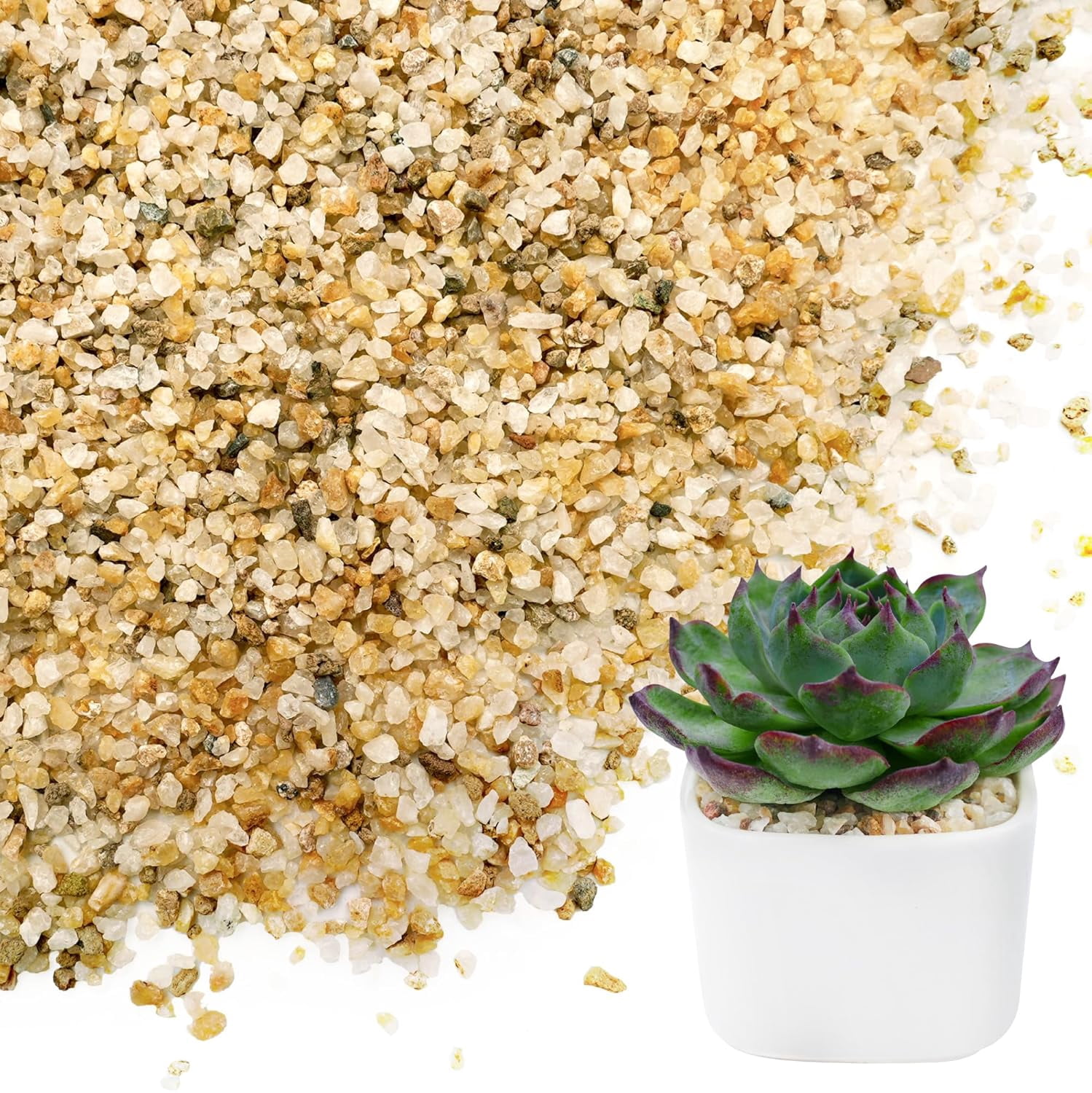 1-2mm Coarse Sand for Plants, 6lb Horticultural Grit for Succulents, Desert Silica Sand for Cactus, Decorative Gravel for Landscaping, Gold Grit for Aquariums, Bonsai, Vases Fillers
