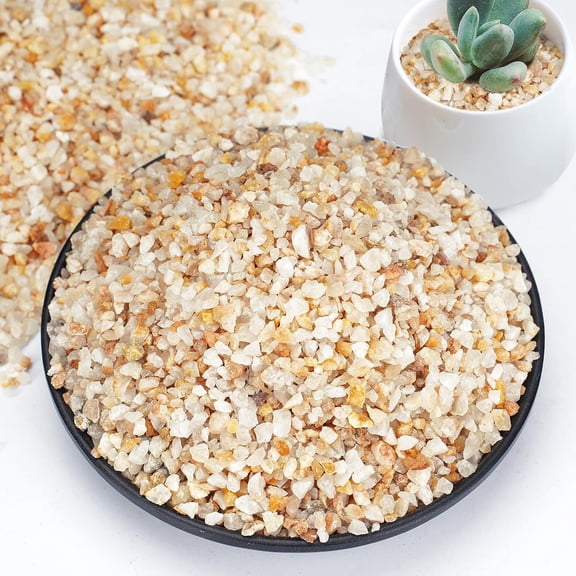 1-2mm Coarse Sand for Plants, 6lb Horticultural Sand for Succulents, Desert Silica Sand for Cactus, Vases, Aquariums, Terrarium, Fish Tank, Drainage Rocks for Potted Plants, Bamboo, Crafts