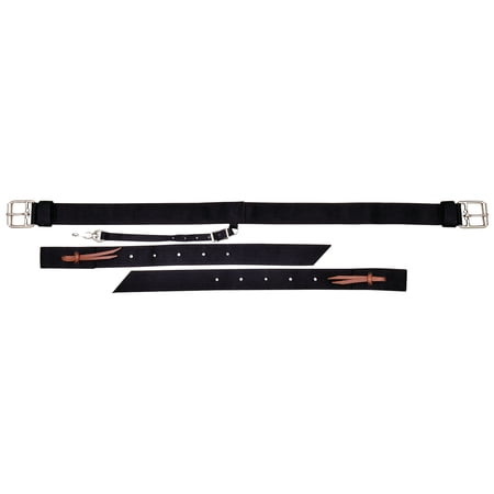 1 3/4" Complete Back Cinch Color: Black
