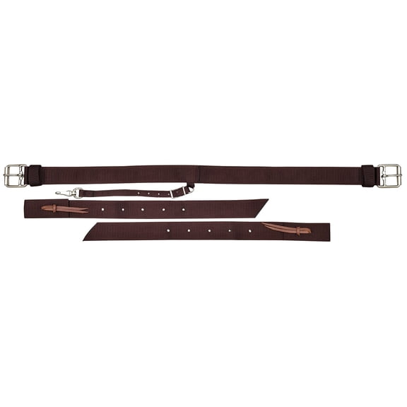 1 3/4" Complete Back Cinch Color: Brown