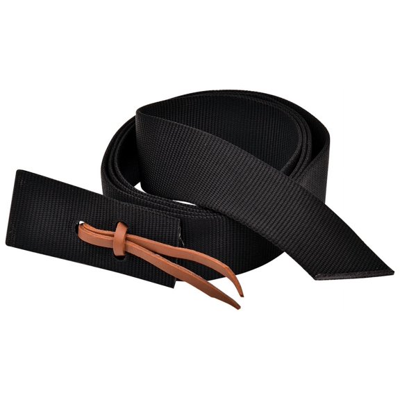 1 3/4" x 70" Nylon Cinch Strap Color: Black