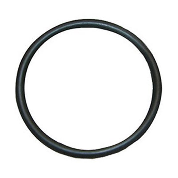Larsen O-Ring - 1-3/4 x 1-15/16 Inch - Multicolor