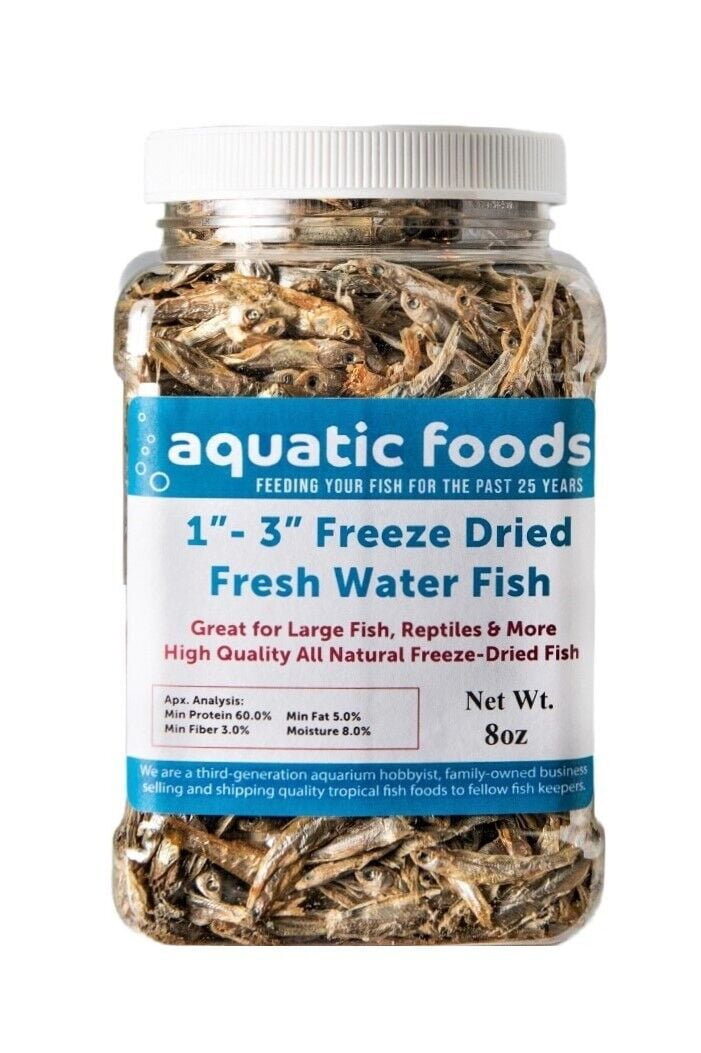 1"- 3" Fresh Water Freeze Dried Fish for Piranha, Large Fish, Turtles, Cats, Sugar Glider, Marmosets, Chinchillas, Squirrels, Hamsters…8oz Med Jar