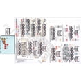 thumbnail image 1 of 1/35 BTR80s around the World, 1 of 1