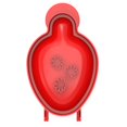 thumbnail image 1 of 1/3Pcs Hand Pie Molds Set Small Pie Maker Christmas Santa Box Shape Dough Presser Pocket Pie Molds Baking Supplies, 1 of 11