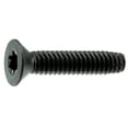 thumbnail image 1 of 1/4-20 x 1-1/4" Star Drive Black Floor Board Saberdrive Screws 1 lb. Box (62 pcs.), 1 of 2