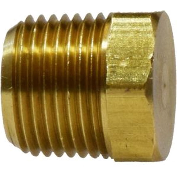 1/4 MIP Cored Hex Hd Plug