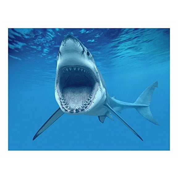 1/4 Sheet ~ Shark Attacking Birthday ~ Edible Cake/Cupcake Topper